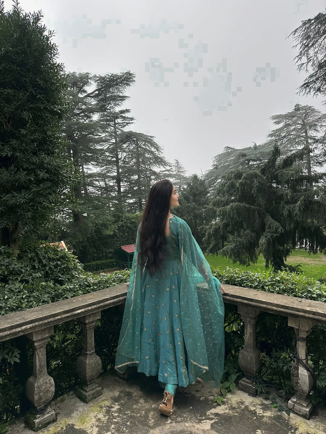 Elegant Party & Wedding Wear Dress for Women